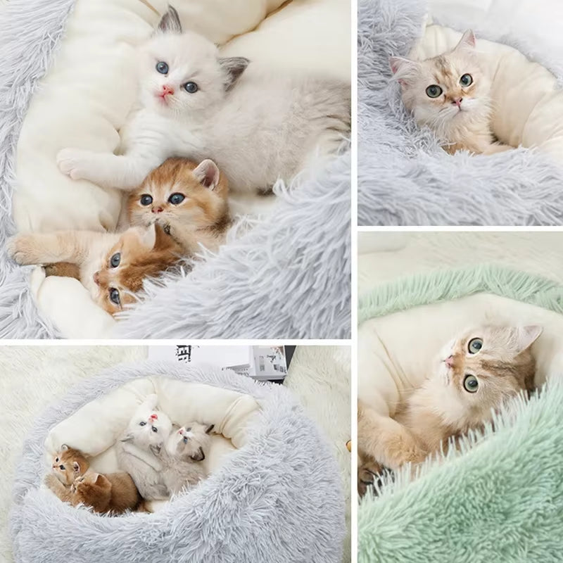 Collage of seven kittens in soft, fluffy, comfortably cozy pet beds.