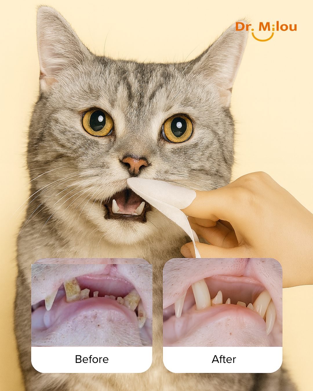 Cat with a hand holding a toothbrush, showing 'Before' and 'After' dental care images.