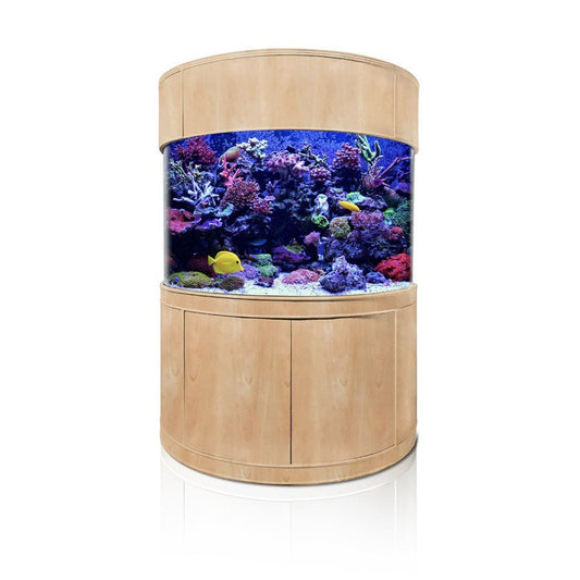 Round aquarium with wooden frame and colorful fish and coral on a white background