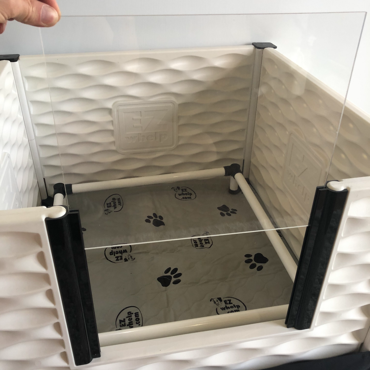 Pet playpen with transparent sides and paw print design on the floor.