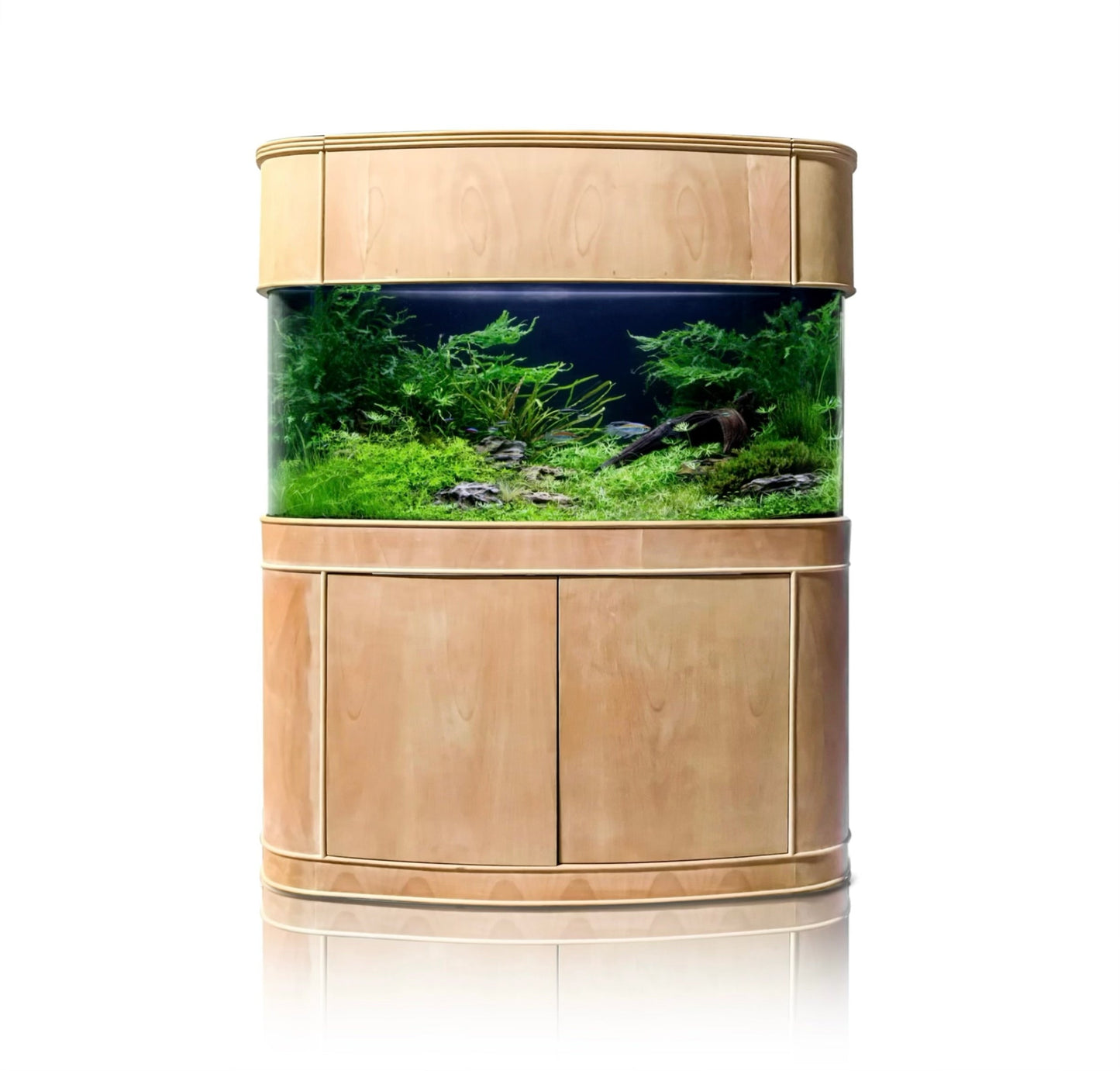 Wooden aquarium with a natural landscape design on a white background