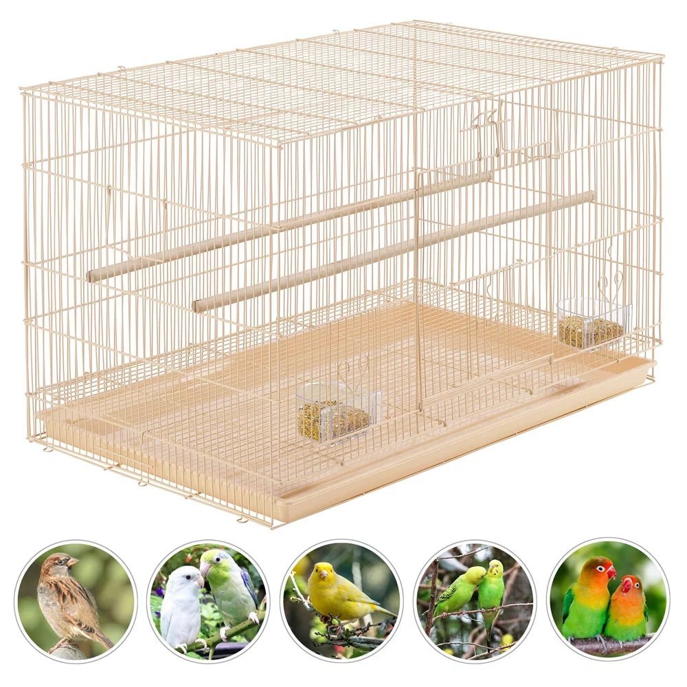 Bird cage with compartments and small birds illustrated on a white background