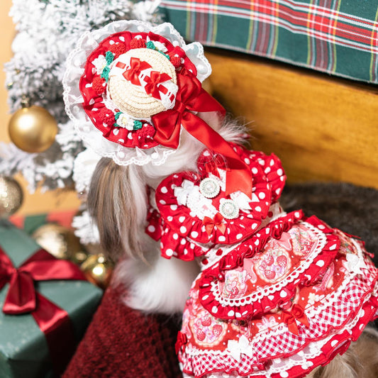 Dog wearing a festive red and white outfit with a Christmas tree and presents in the background