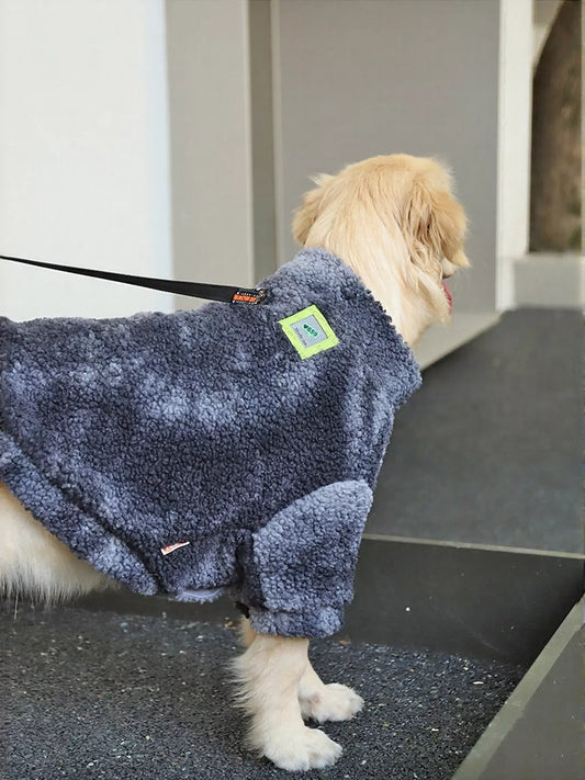 Dog wearing a blue fleece coat on a leash indoors.