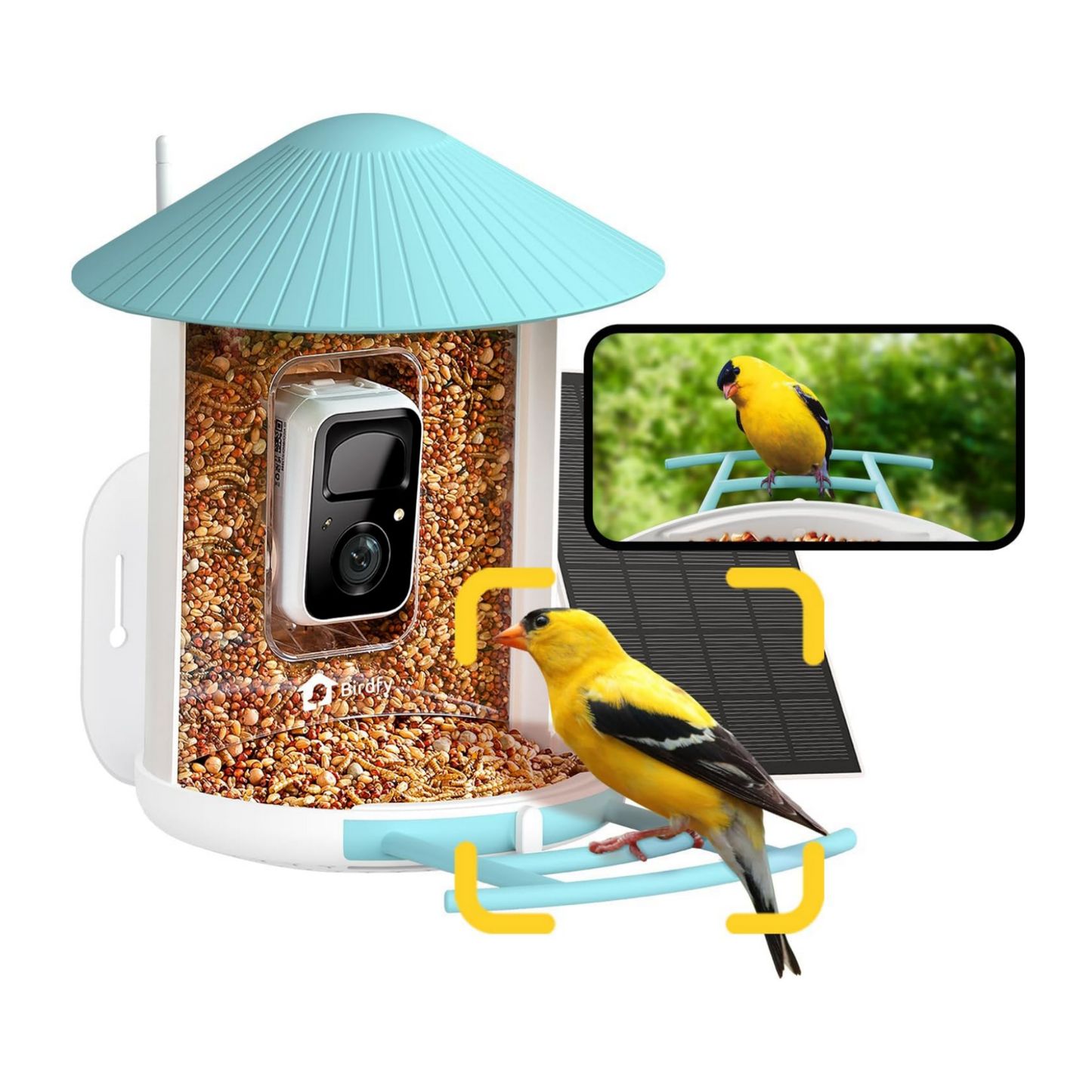 Bird feeder with camera and bird on a white background