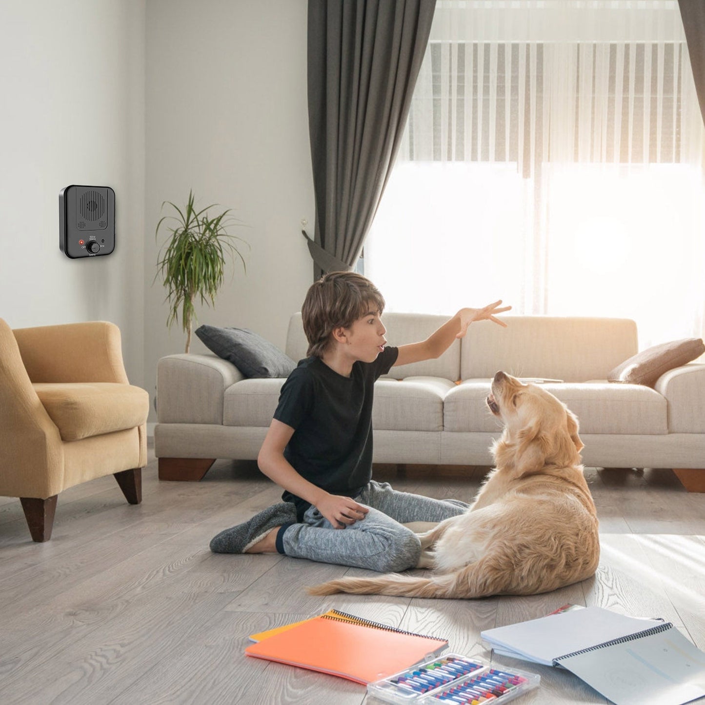 Child sitting on the floor with a dog in a living room