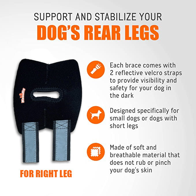 Dog leg brace with features and benefits on a white background