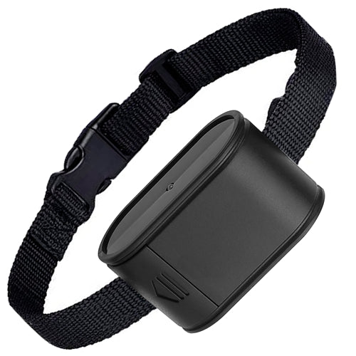 Black dog collar with a black electronic device on a white background