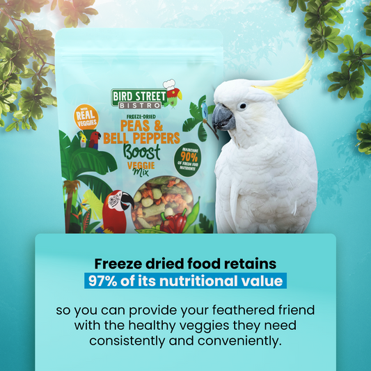 Bird Street Bistro freeze-dried food package with a parrot on a blue background