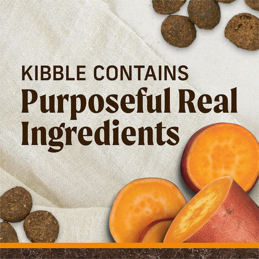 Dog kibble with sweet potatoes on a textured surface, emphasizing real ingredients.