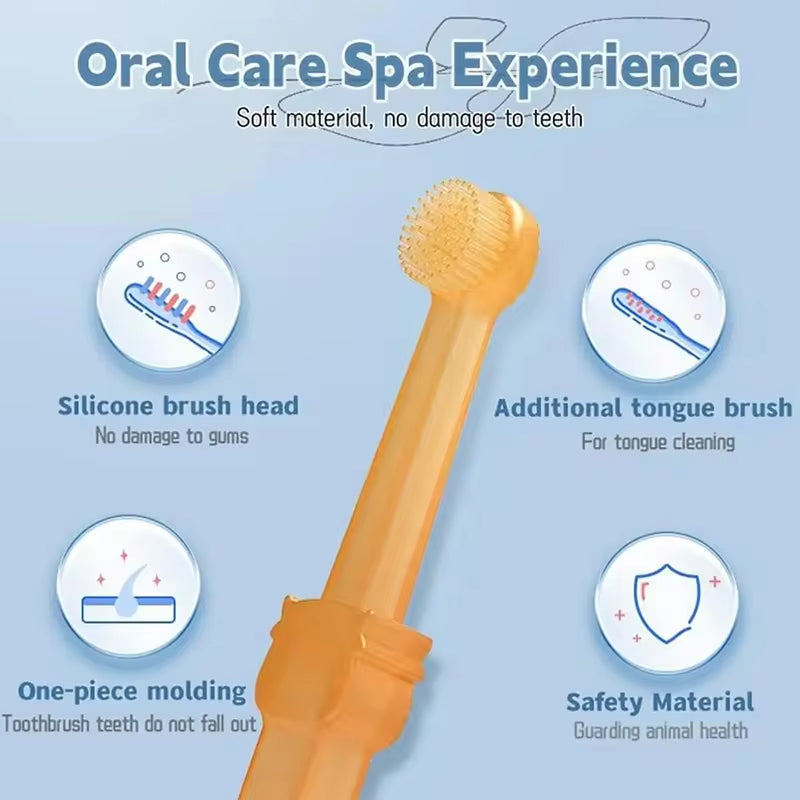 Orange toothbrush with features highlighted on a light blue background.