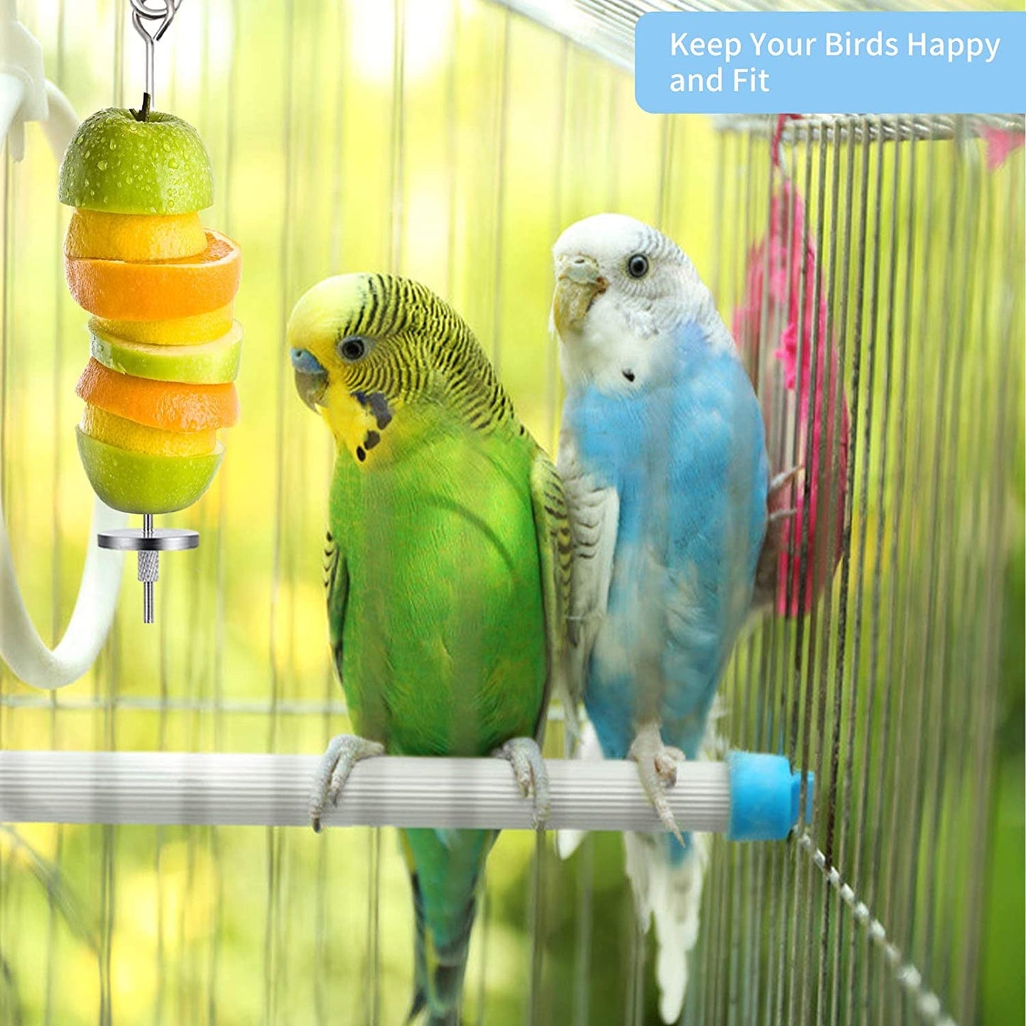 Two parakeets in a cage with a colorful fruit hanging toy and text 'Keep Your Birds Happy and Fit'.