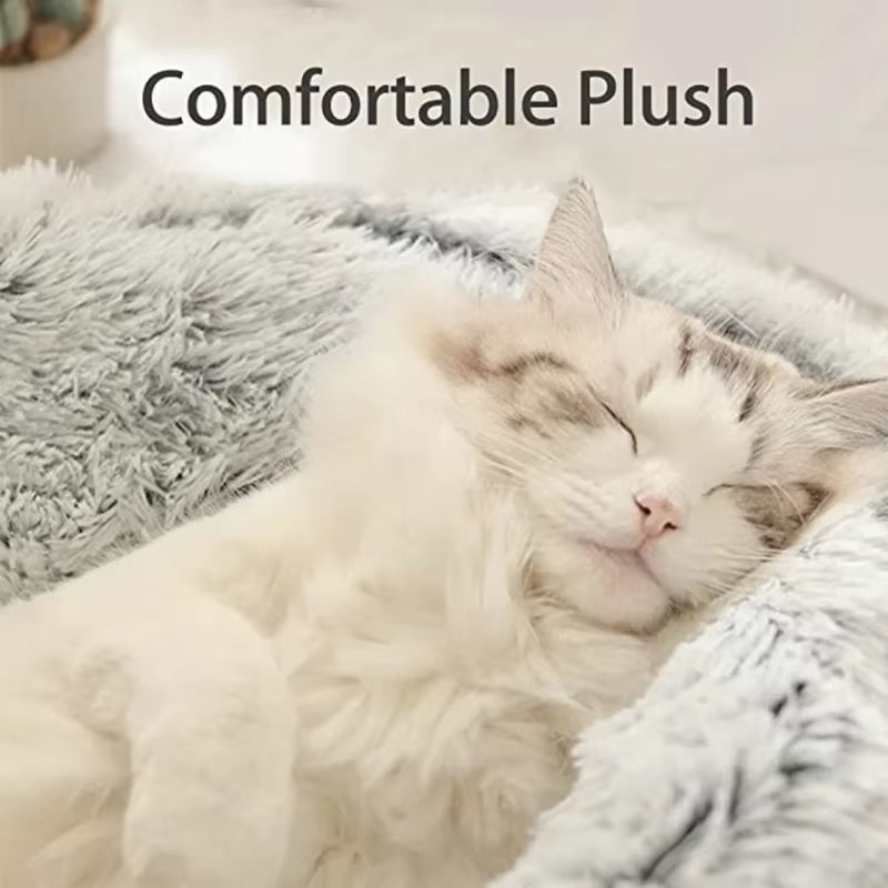 Fluffy white cat sleeping on a fluffy white blanket with 'Comfortable Plush' text above.
