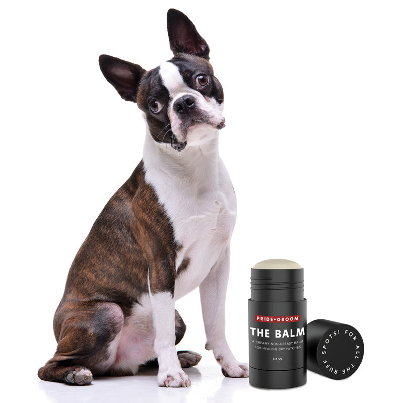 Dog sitting next to a product labeled 'The Balm' on a white background