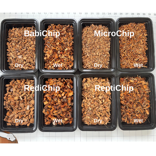 Various types of 'Chip' products in black containers with labels on a white background.