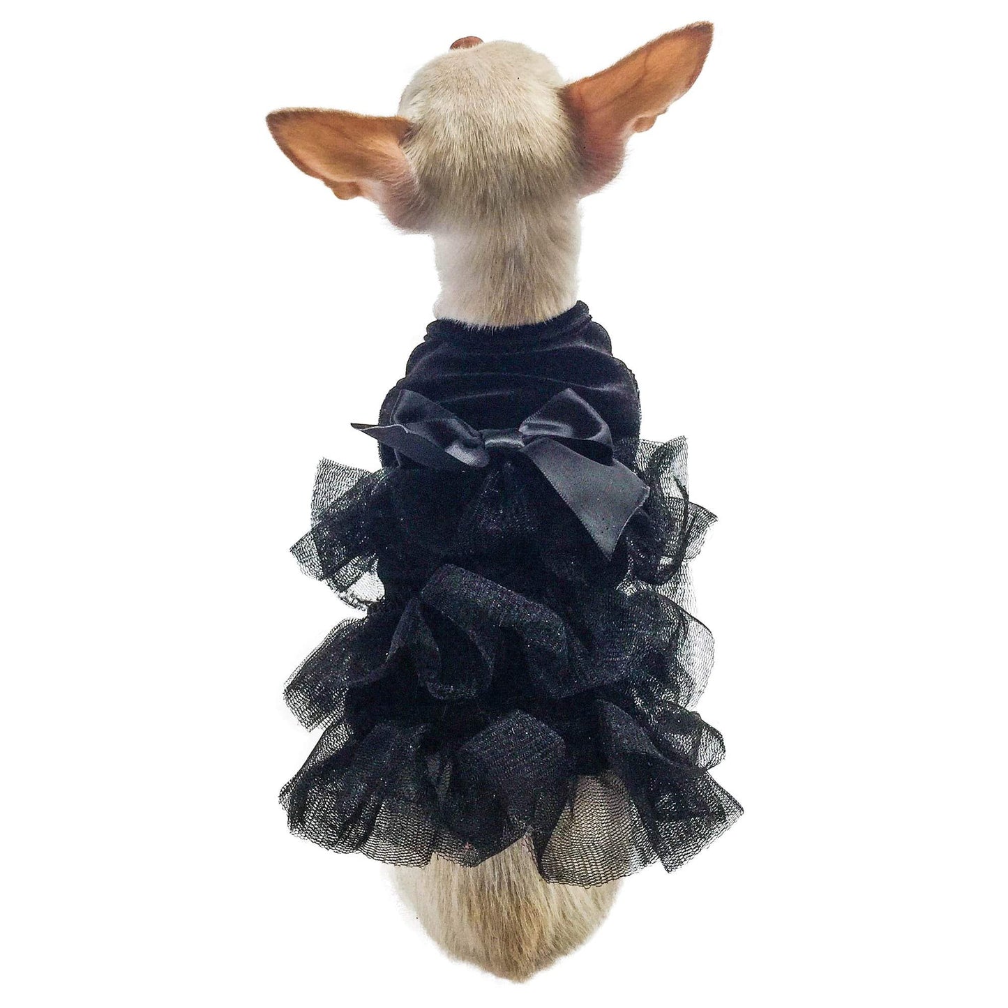 Small dog wearing a black ruffled dress on a white background