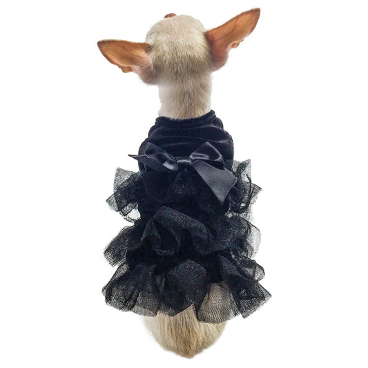 Small dog wearing a black ruffled dress on a white background