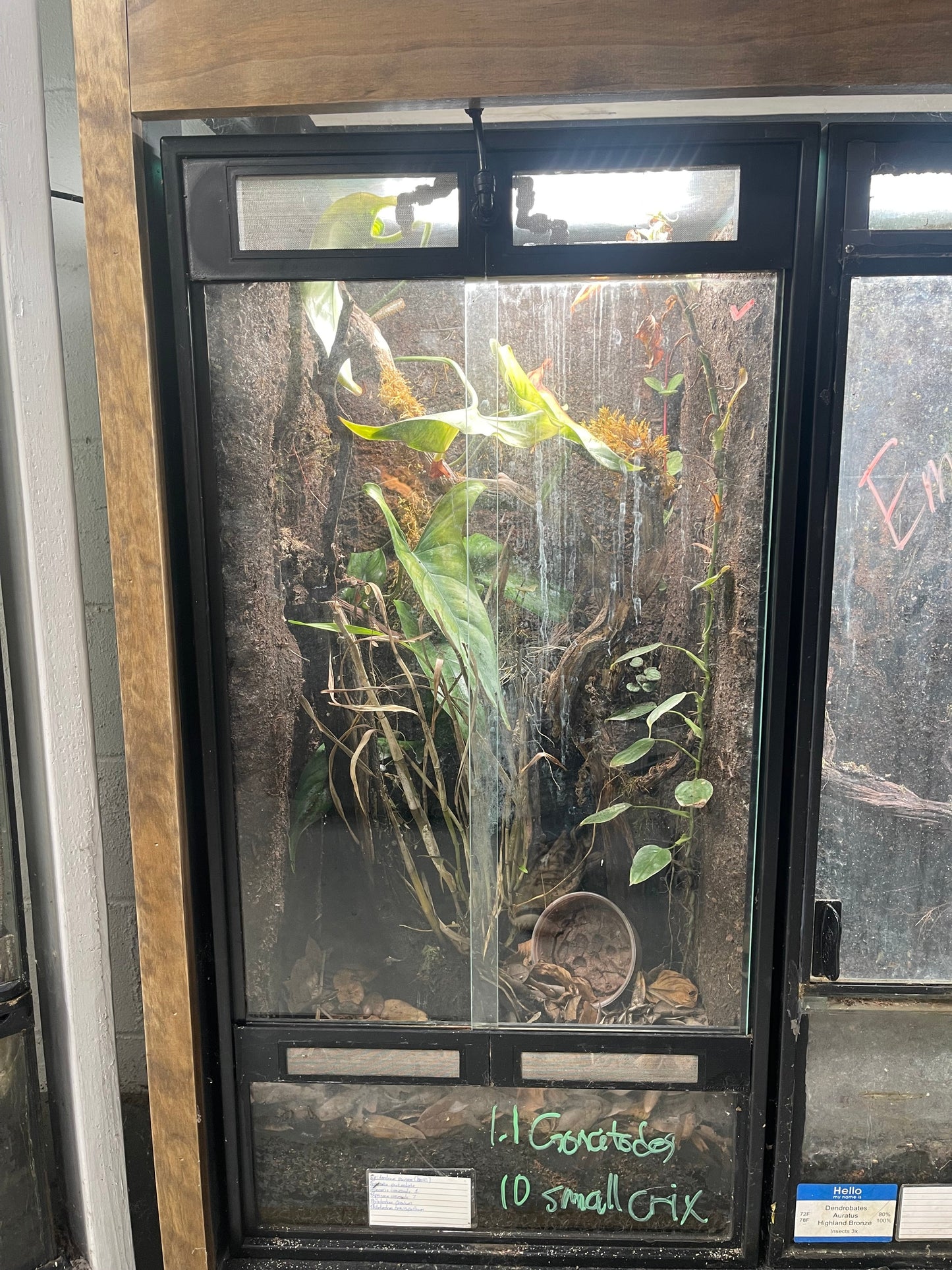 Vending machine with a plant inside, labeled '10 Grotes' and '10 small crx'.