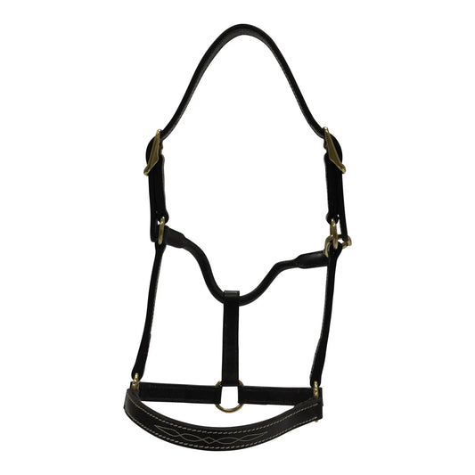 Black leather horse halter on a white background