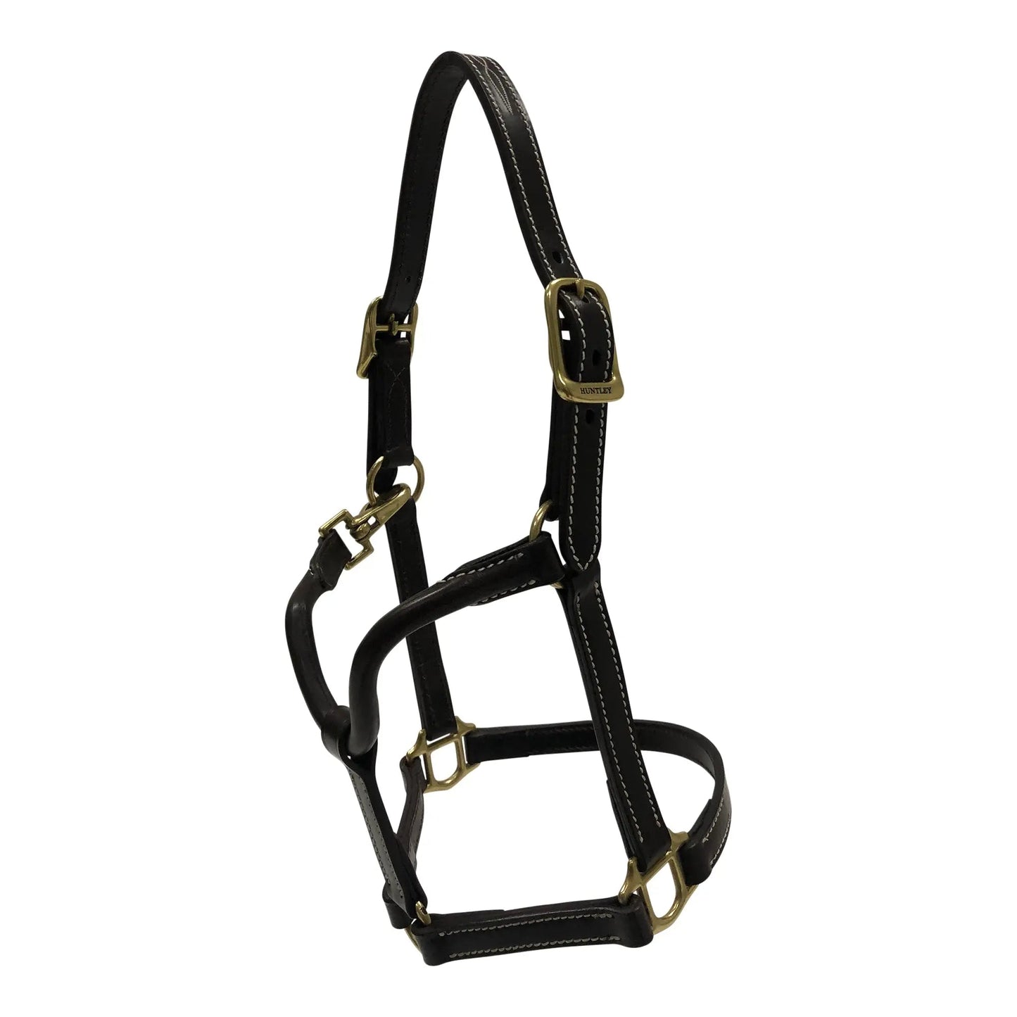 Black leather horse halter with gold hardware on a white background
