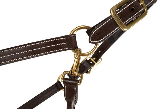 Brown leather harness with gold hardware on a white background