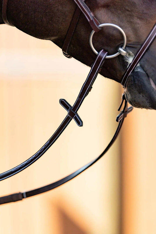 Close-up of a horse's bridle with a blurred background