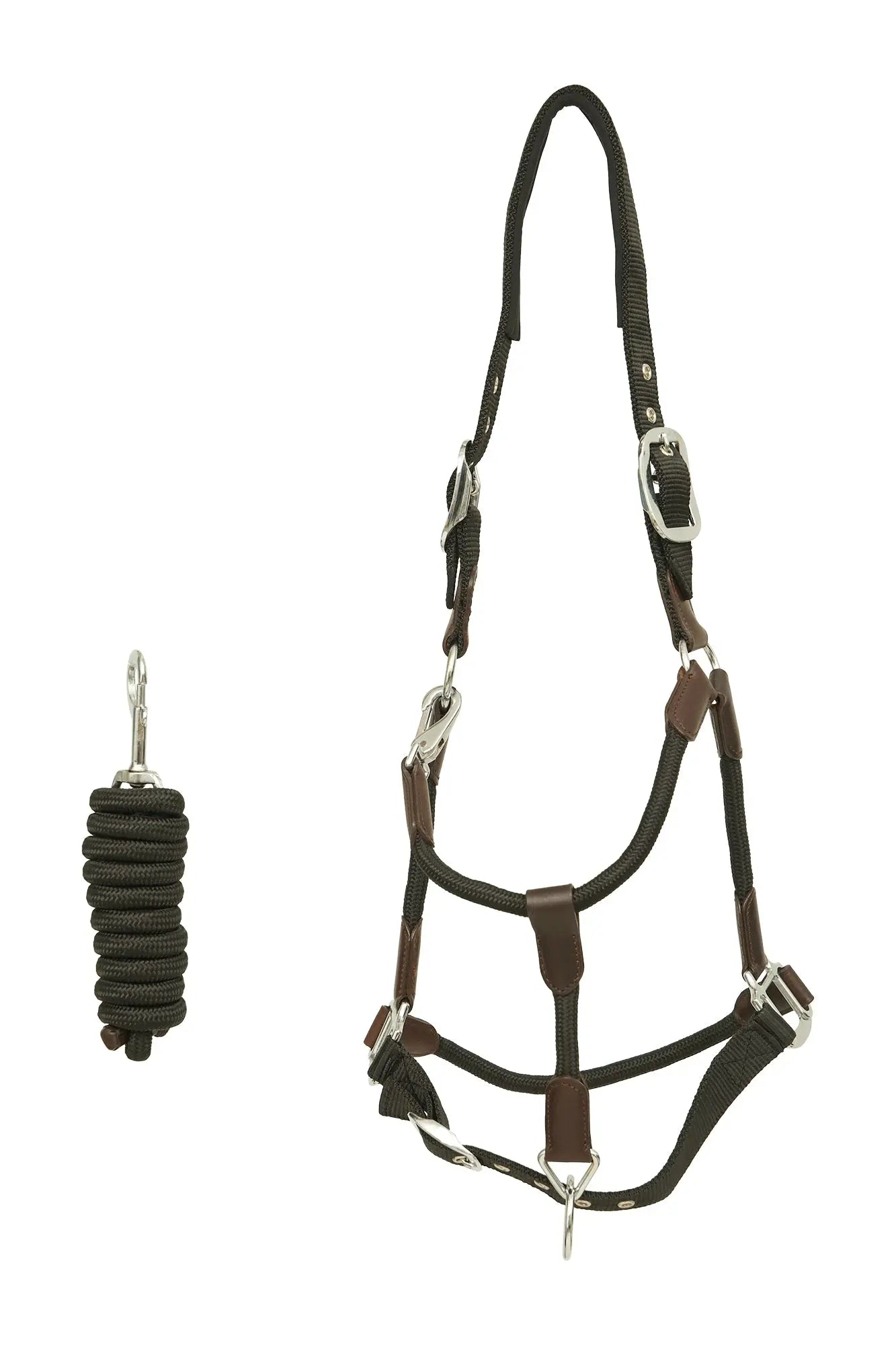 Brown leather horse halter with a rope teaser on a white background