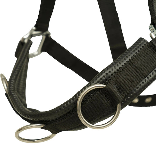 Close-up of a black horse halter with metal rings on a white background