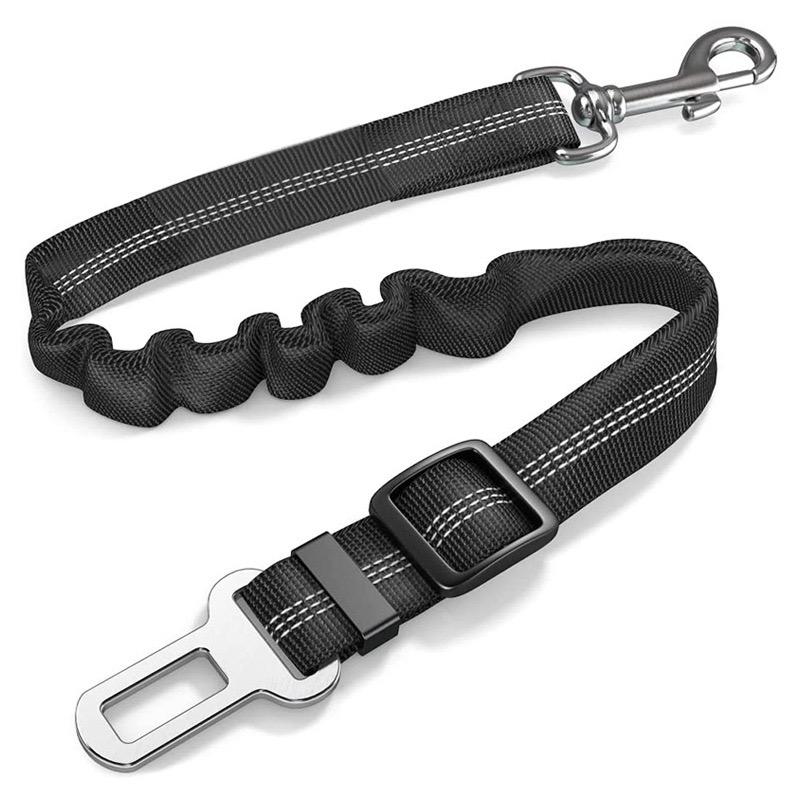 Black dog leash with metal clip on a white background
