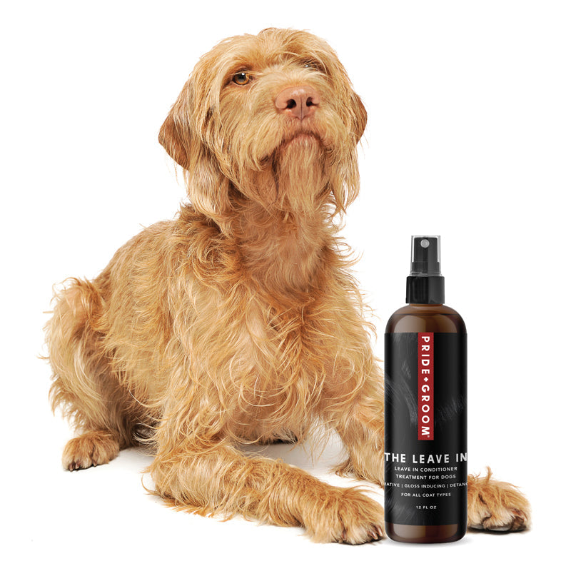 Dog with a bottle of Pride & Groom grooming product on a white background