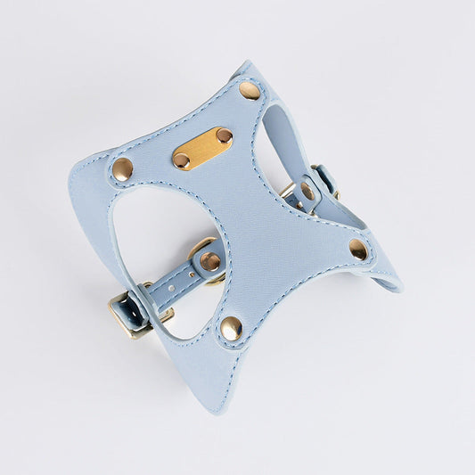 Light blue leather harness with gold hardware on a light gray background