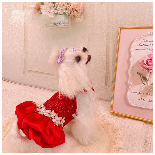 Dog wearing a red dress with floral details on a decorative background