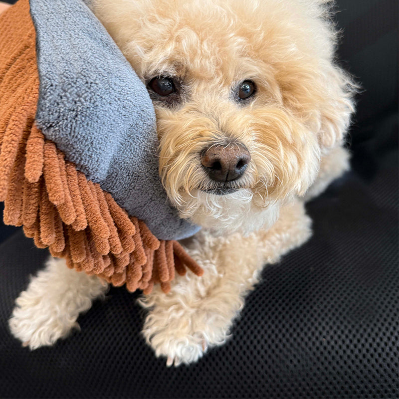 Small dog with a colorful towel draped over its head on a black surface