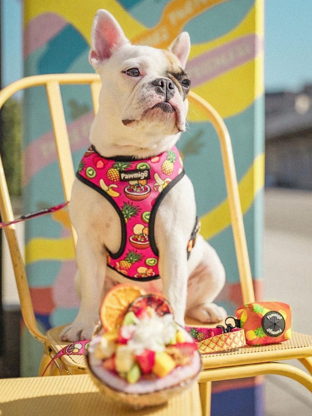 Snack Shack Leash Kit