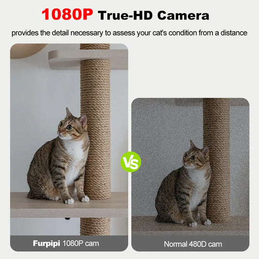 Comparison of a cat on a scratching post with Furpi pi 1080P camera vs normal 480D camera.