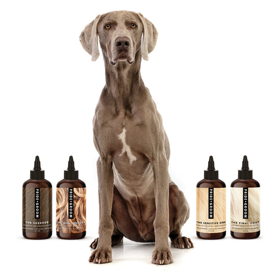 Dog sitting between pet care product bottles on a white background