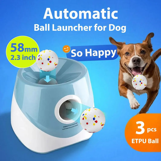 Automatic ball launcher for dogs with a dog running and a ball in its mouth on a blue background.