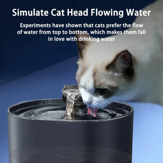 Cat drinking water from a pet fountain with text explaining cat behavior.