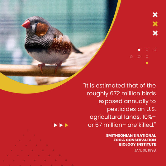 Bird perched on a branch with a red background and text about pesticide exposure on U.S. agricultural lands.