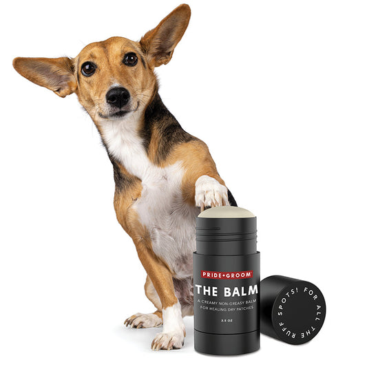 Dog holding a product labeled 'The Balm' with a white background