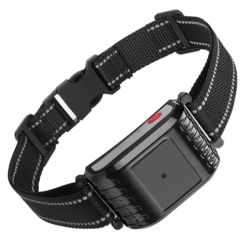 Black dog collar with a remote control device on a white background