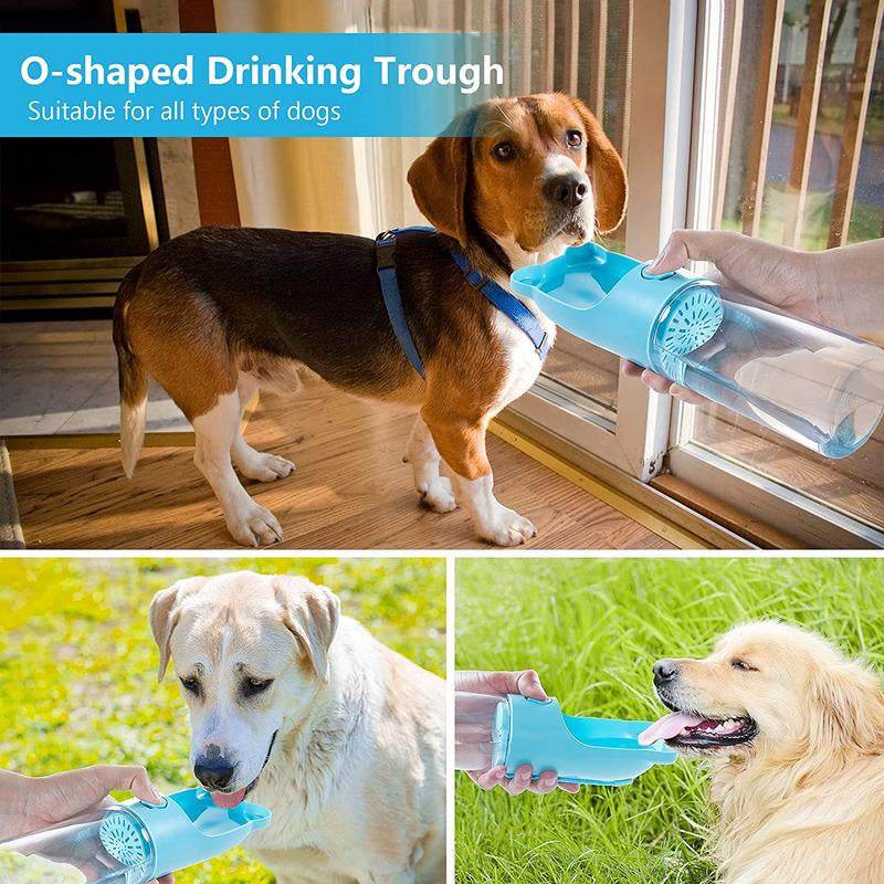 Dog drinking from a blue O-shaped drinking trough in various settings.