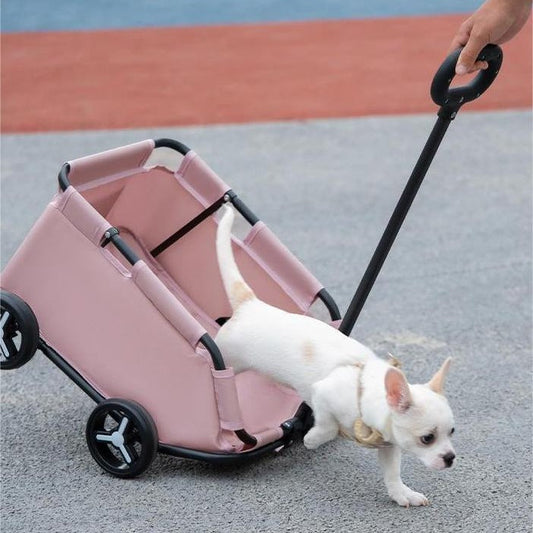 Pink pet stroller with a small white dog being pushed on a pavement.