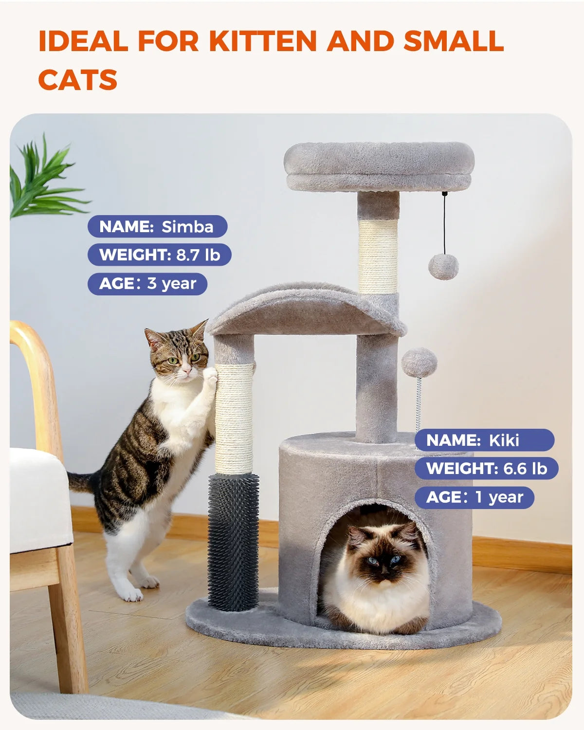 Cat Tree with two Cats, one named Simba and the other Kiki, specifying that it is 'Ideal For Kitten and Small Cats' on a light wood floor.