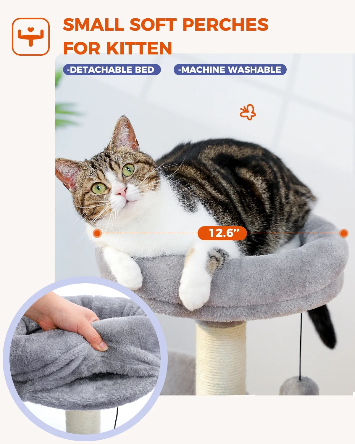 Cat sitting on a small soft perch with detachable bed and machine washable feature, on a white background.