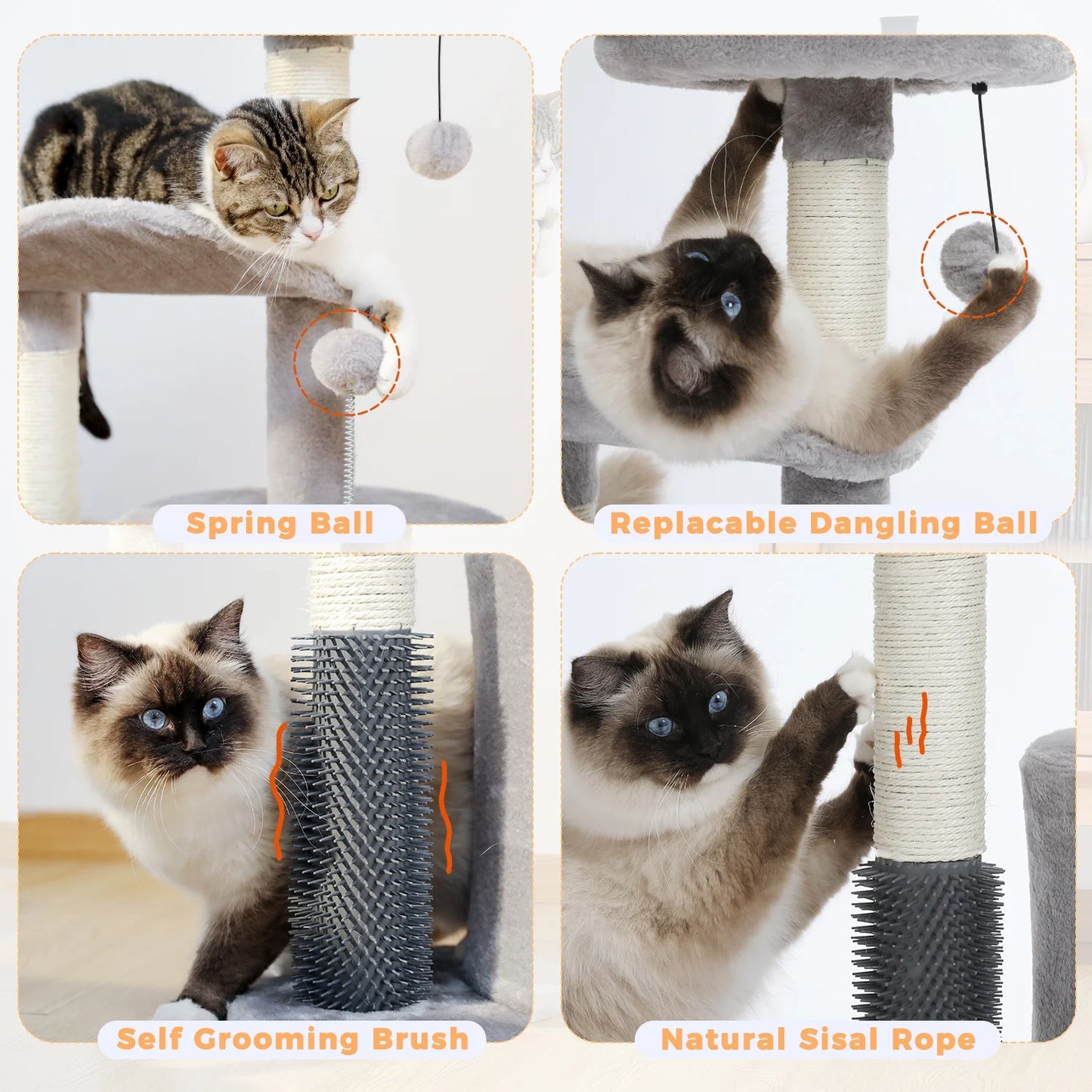 Cat playing with a scratching post with various features labeled.