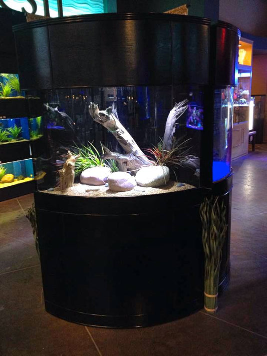 Large aquarium with decorative elements in a store setting