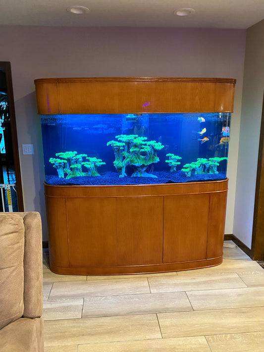 MONSTER TANK! 380 Gallon Seamless Glass Bowfront Reef-Ready Aquarium