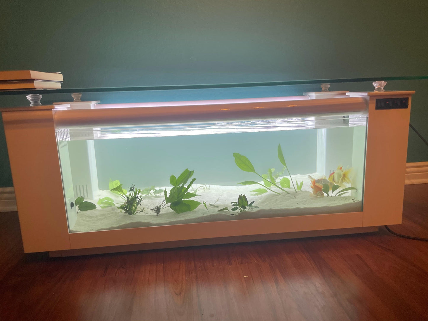 WARRANTY INCLUDED! 45 gallon GLASS rectangle table aquarium fish tank