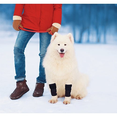 Person in red coat and blue jeans standing next to a white dog in black booties on a snowy ground.